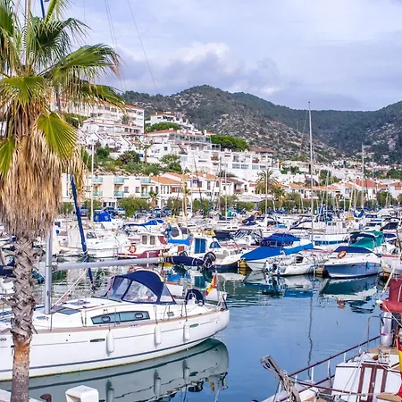 Maimone 3 - Happy Sanremo