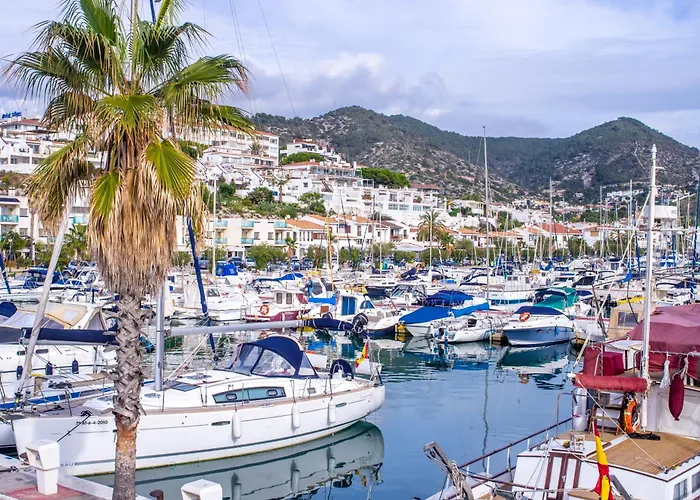 Maimone 3 - Happy 산레모